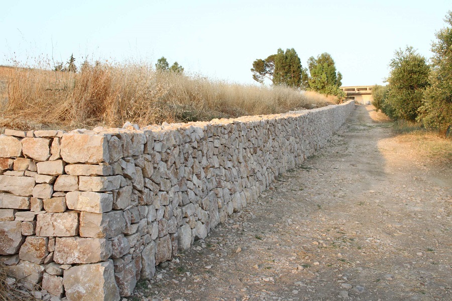 Muretti a secco | I pareti della Murgia Barese