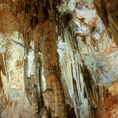 Colonne Calcaree 2 Grotta Del Trullo Putignano