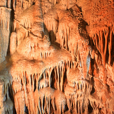 Sedimento Calcareo Grotta Del Trullo Putignano